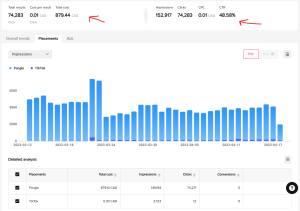 Screenshot of Tiktok Ads manager analytics