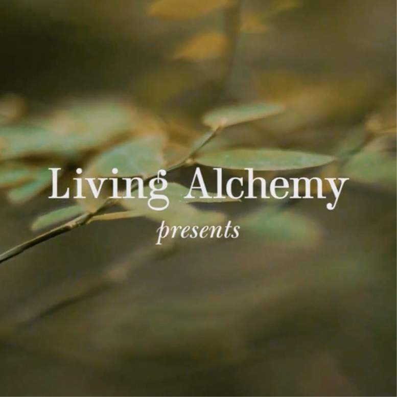 Living Alchemy: Brand Campaign